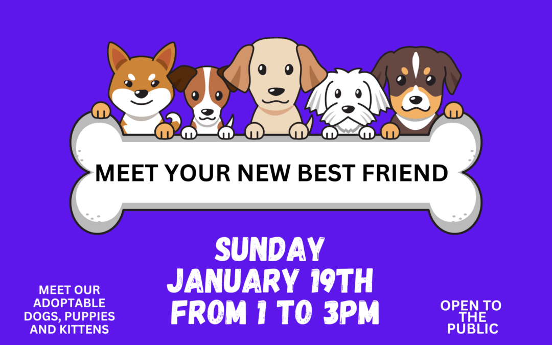 Adoption Event – Sunday, July 21st 1 to 3pm