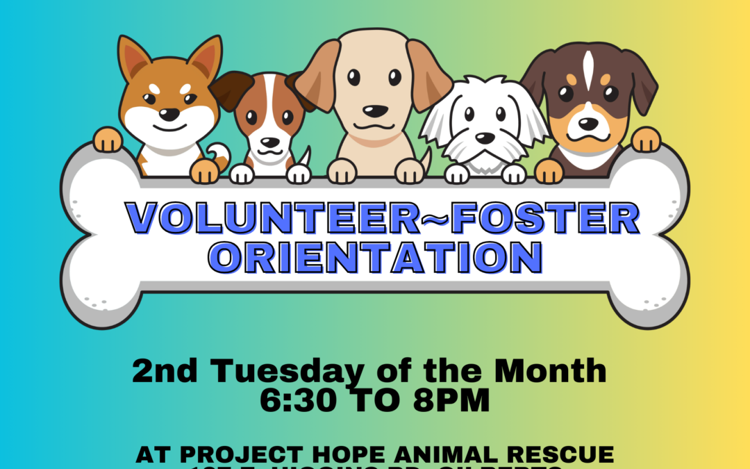 Volunteer~Foster Orientation~8/13/24~6:30 to 8pm