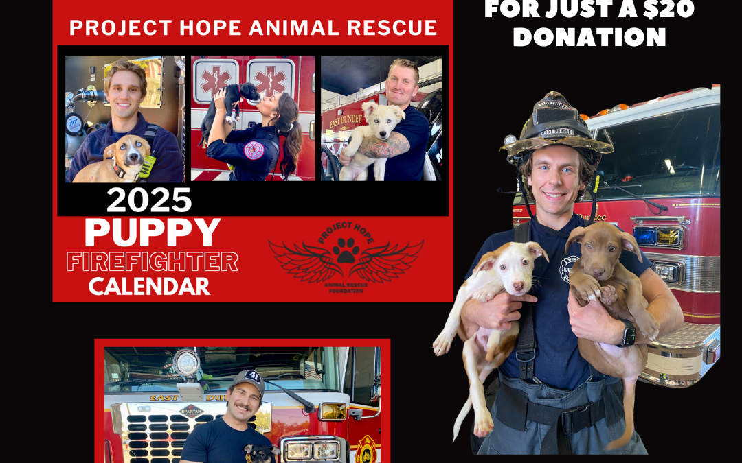 Order your 2025 Puppy Firefighter Calendar!